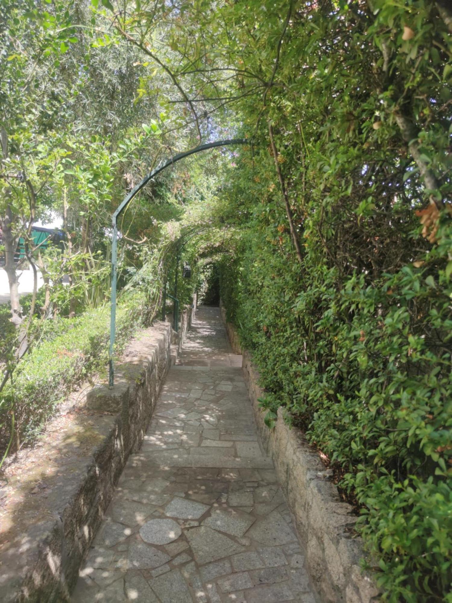 Real Santo Antonio Guest House Tarouca Exterior photo