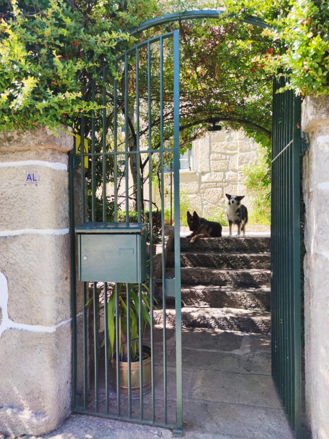 Real Santo Antonio Guest House Tarouca Exterior photo